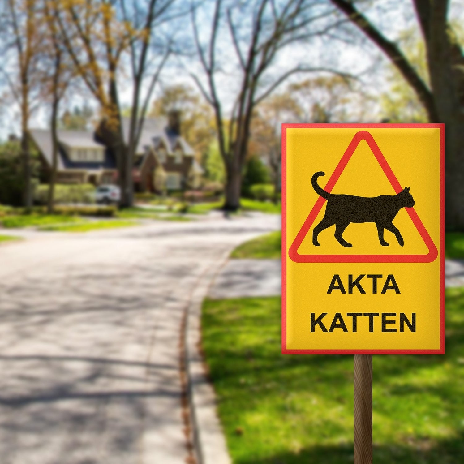 Varningsskylt Katt - Välj Variant!