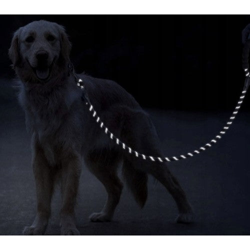 Hundkoppel med Reflex / Koppel för Hund - 3m