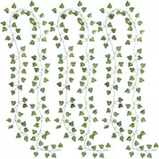 Murgröna Lövgirlang - 6x2m