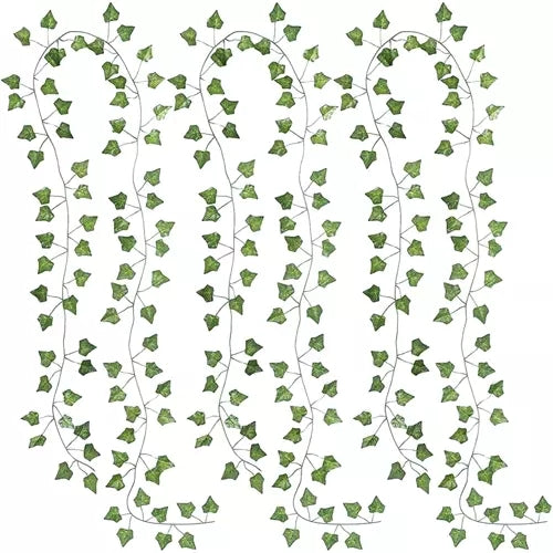Murgröna Lövgirlang - 6x2m
