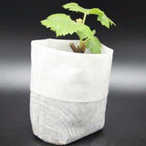 100-Pack - Tomma Fröpåsar / Påsar för Fröplantor - Planta