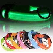 Uppladdningsbart LED-halsband för Hund - Välj Storlek & Färg!