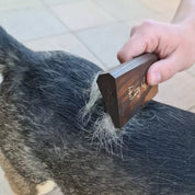 Hundborste för Grovt Hår
