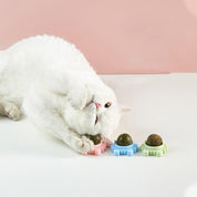 Självhäftande Kattmynta Boll - 2-Pack