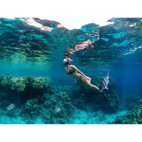 Snorkelmask Heltäckande - Snorkling - S/M