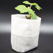 100-Pack - Tomma Fröpåsar / Påsar för Fröplantor - Planta