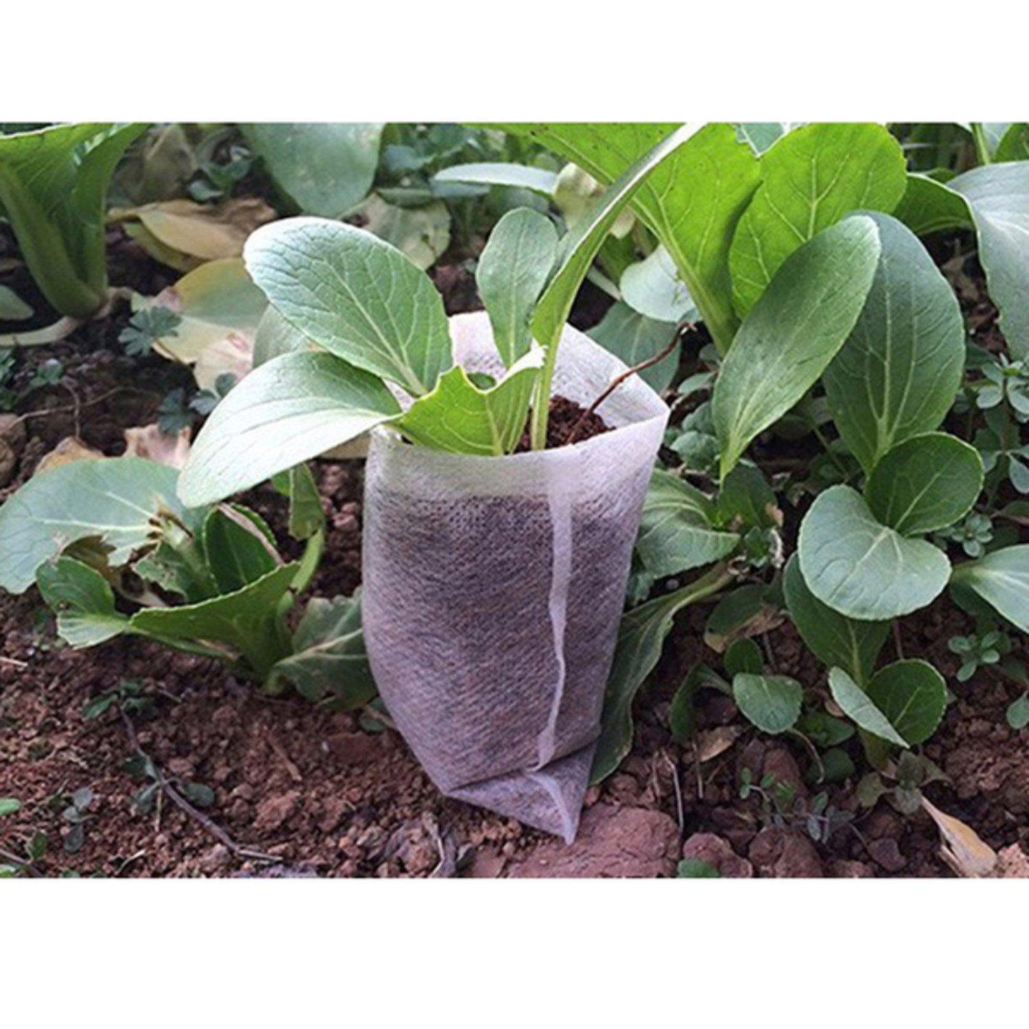 100-Pack - Tomma Fröpåsar / Påsar för Fröplantor - Planta