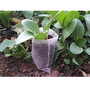 100-Pack - Tomma Fröpåsar / Påsar för Fröplantor - Planta