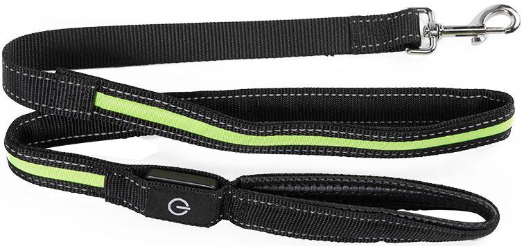 Hundkoppel med LED / Koppel för Hund - 175 cm