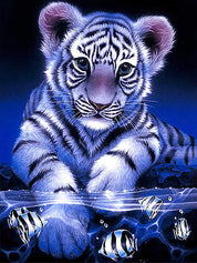 Diamantmålning Tigerunge - 30x40cm