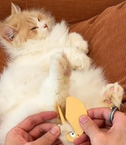 5-Pack - Tovkniv - Tovutredare för Hund & Katt