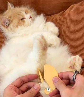 5-Pack - Tovkniv - Tovutredare för Hund & Katt