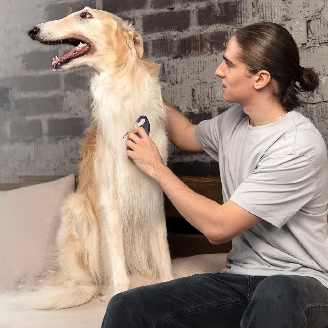 5-Pack - Tovkniv - Tovutredare för Hund & Katt