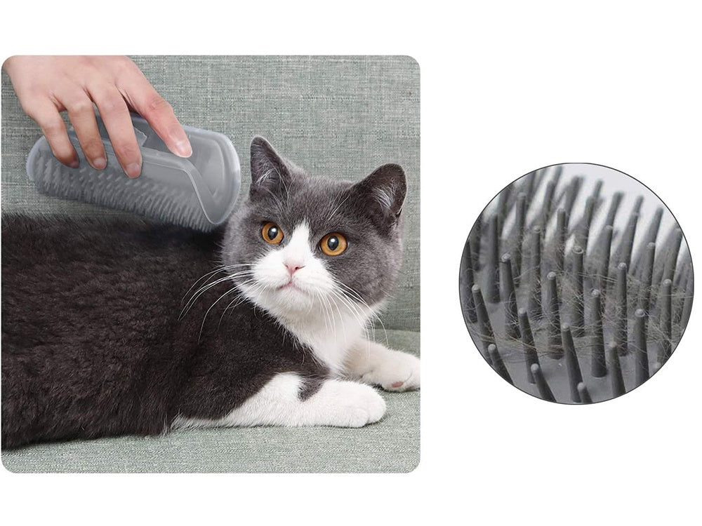 Kattborste med Fack för Kattmynta - Självvård