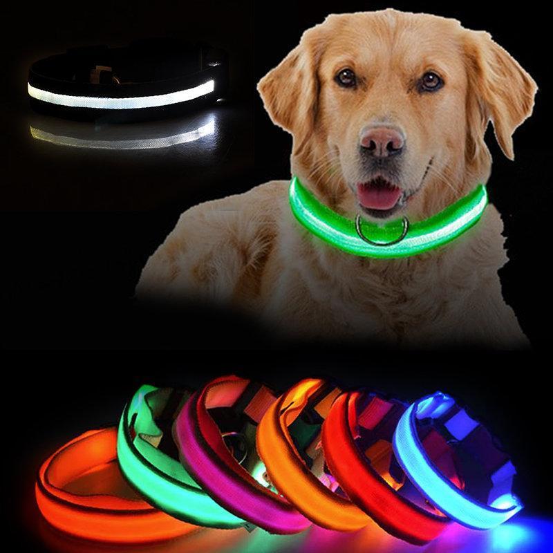 Uppladdningsbart LED-halsband för Hund - Välj Storlek & Färg!
