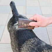 Hundborste för Grovt Hår