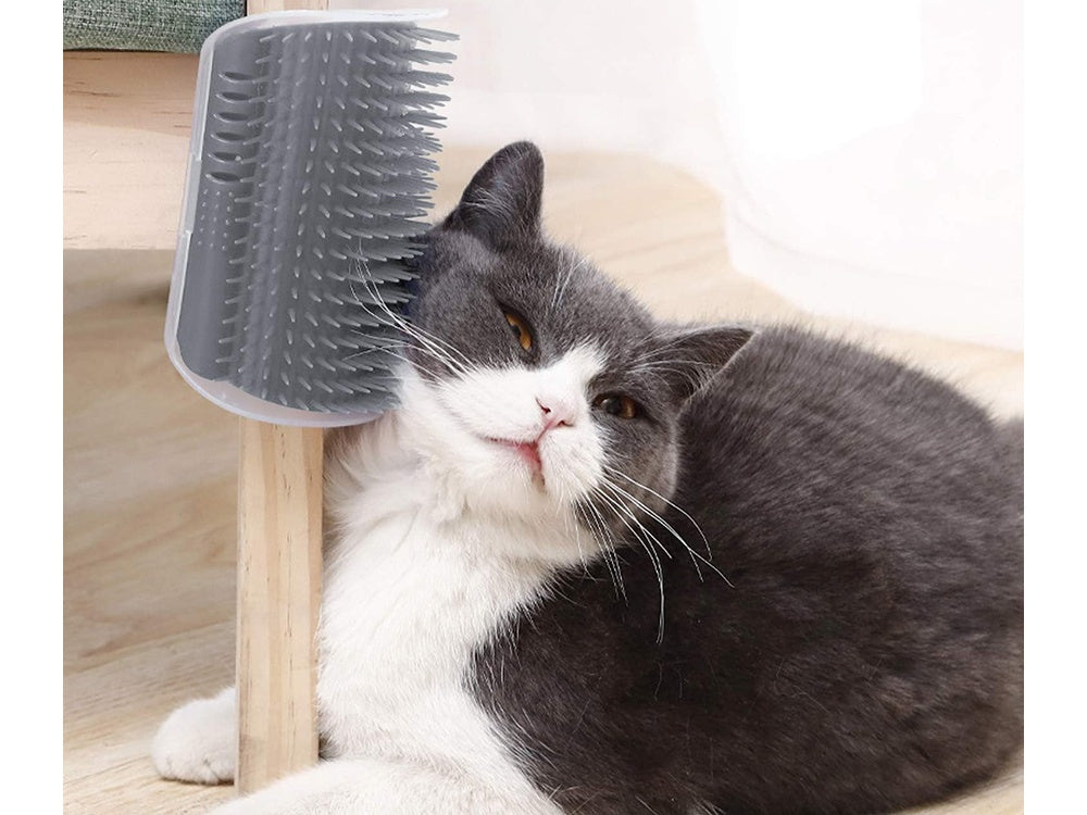 Kattborste med Fack för Kattmynta - Självvård