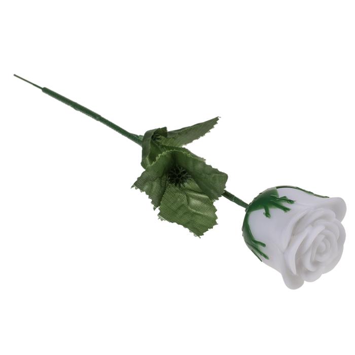 Ros med LED-lampa - Färskiftande