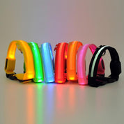 Uppladdningsbart LED-halsband för Hund - Välj Storlek & Färg!
