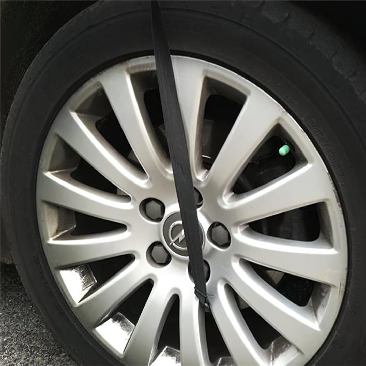 Snö- och Frostskydd för Bil