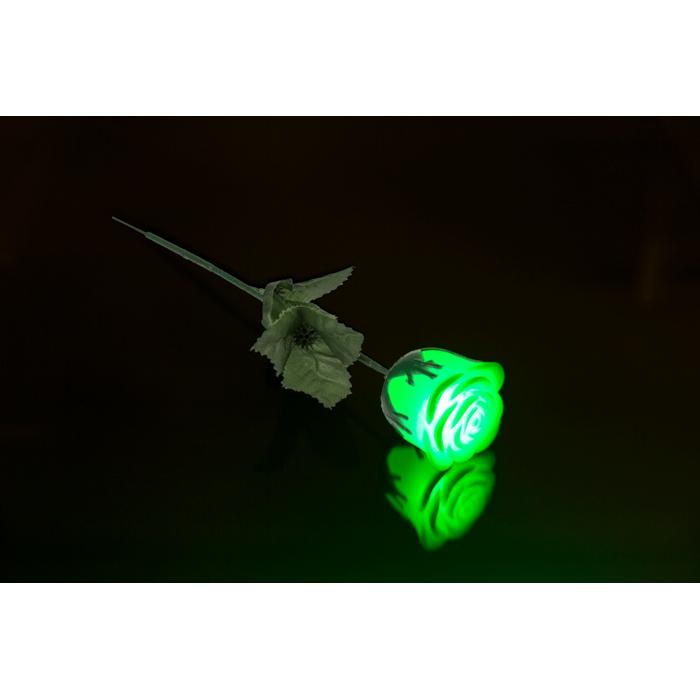 Ros med LED-lampa - Färskiftande