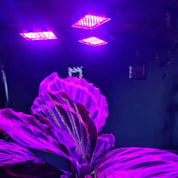 Växtlampa - Växtbelysning med 3 LED-paneler