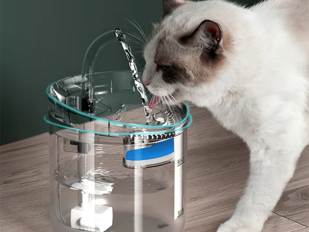 Vattenautomat för Hund & Katt - Automatisk Vattenfontän