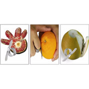 Apelsinskalare i Rostfritt - 2-Pack