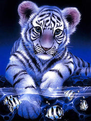 Diamantmålning Tigerunge - 30x40cm