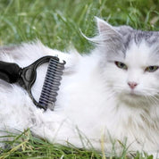Hundkam / Kattkam - Kam för hund & katt