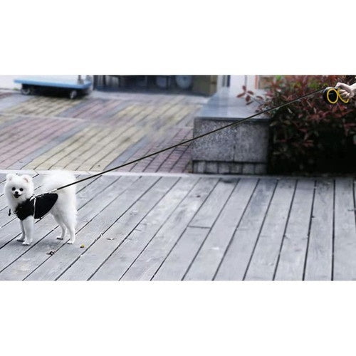 Hundkoppel / Flexibelt Rullkoppel för Hund - Välj längd!