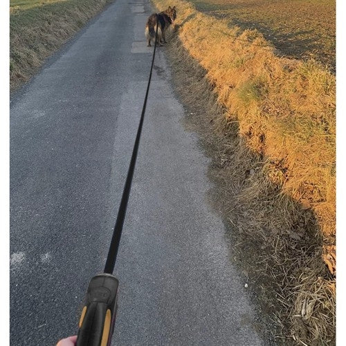 Hundkoppel / Flexibelt Rullkoppel för Hund - Välj längd!