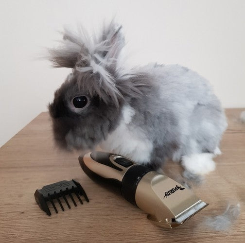 Hundtrimmer / Hundklippare - Trimmer för hund