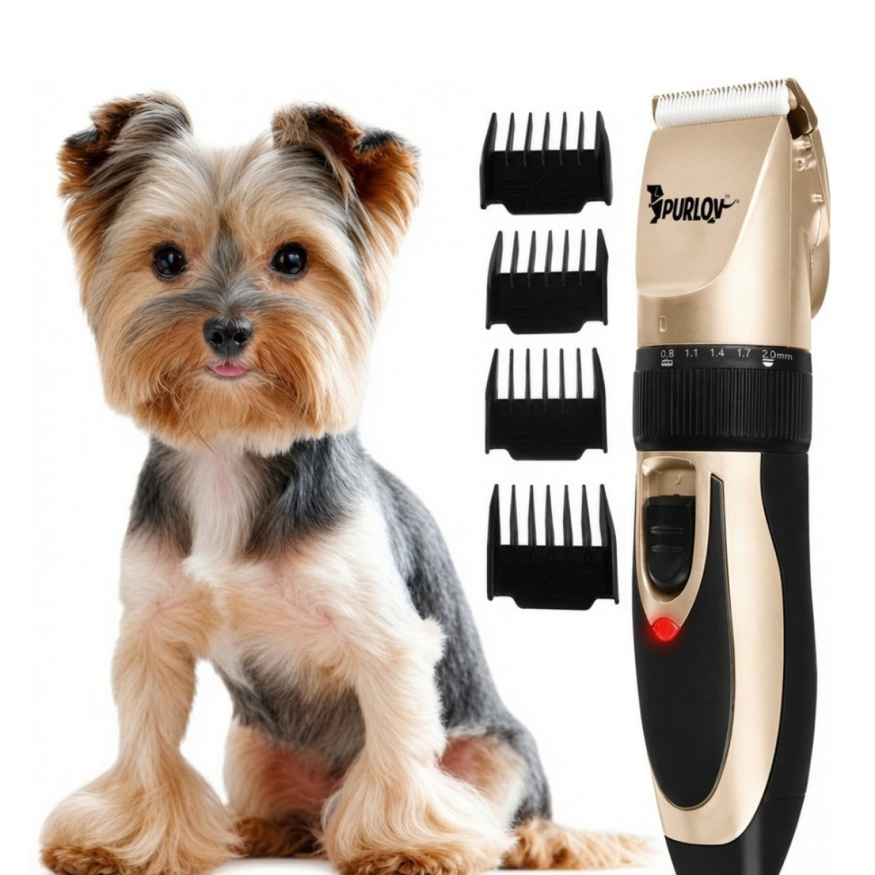 HundtrimmerTrdlshundklipparefrmindrehusdjurDefaultTitle_b5891184-7849-49bf-9fee-6a252ee63a1d.jpg