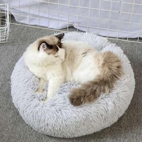 KattbddHundbddSovplatsfrkatterhundarDefaultTitle_9bc68fb3-ef02-4ff8-97f7-4fa553e5c343.jpg