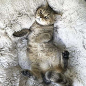Kattbädd / Hundbädd - Sovplats för katter & hundar