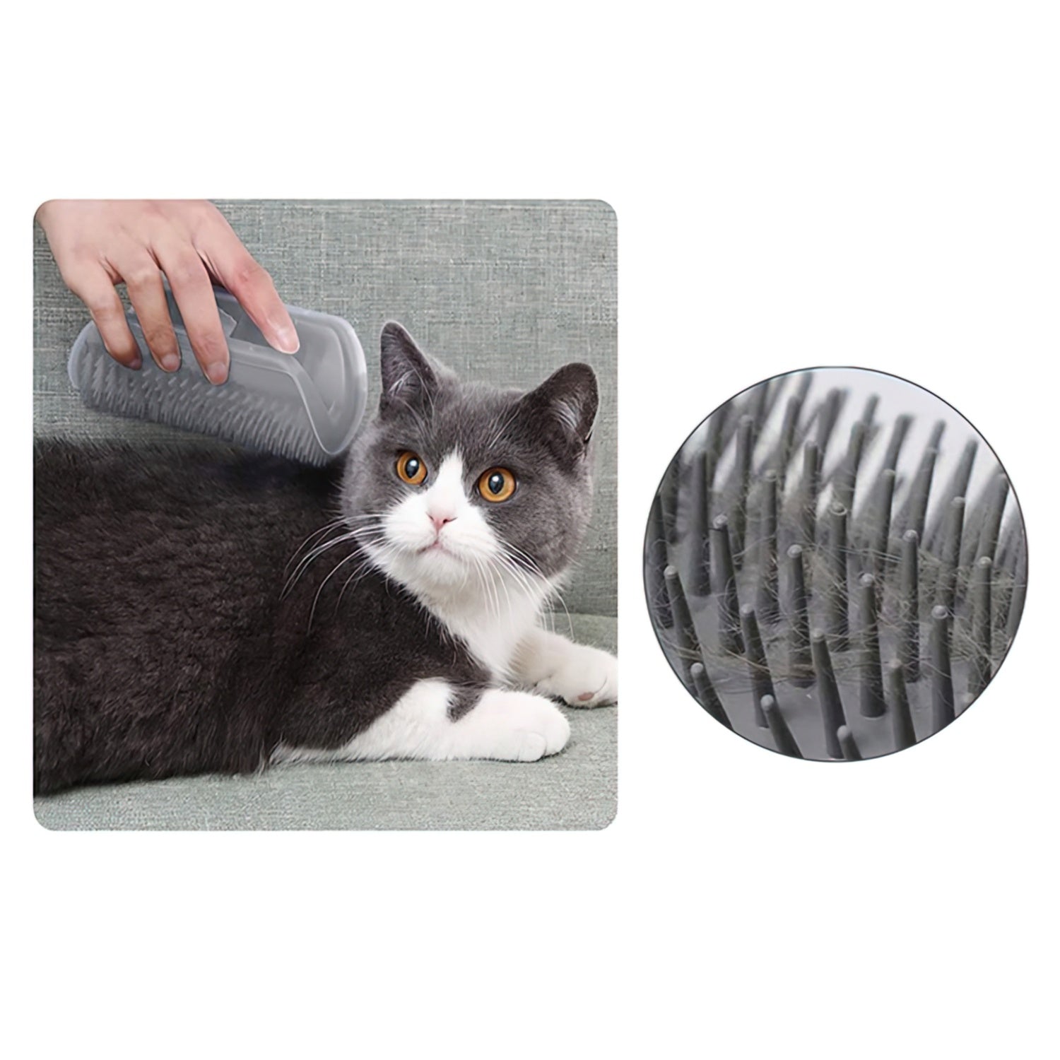 Kattborste med Fack för Kattmynta - Självvård