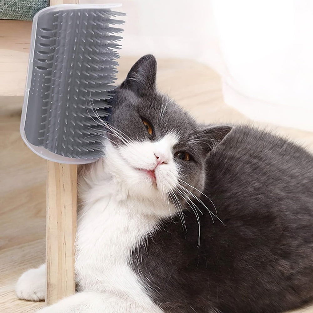 Kattborste med Fack för Kattmynta - Självvård