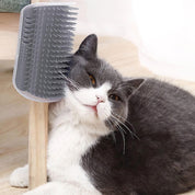 Kattborste med Fack för Kattmynta - Självvård