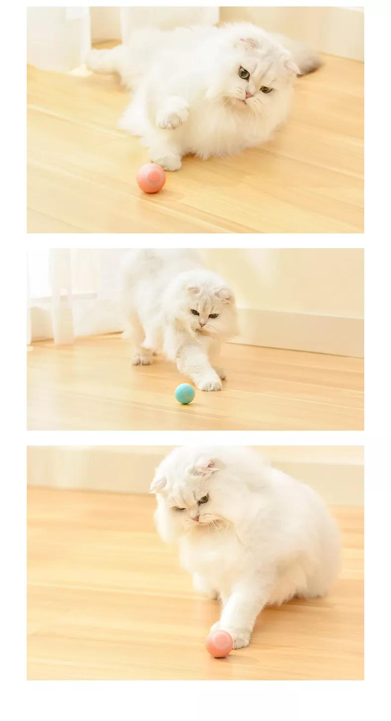 Kattleksak / Aktiveringsboll - Boll som rör sig Leksak till Katt