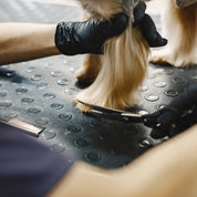 Komplett Klippkit för Hund