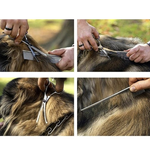 Komplett Klippkit för Hund