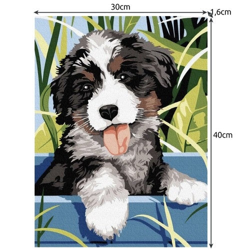 Måla Efter Nummer Kit - 40x30cm – Hund