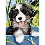 Måla Efter Nummer Kit - 40x30cm – Hund