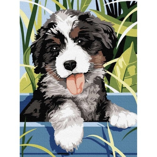 Måla Efter Nummer Kit - 40x30cm – Hund