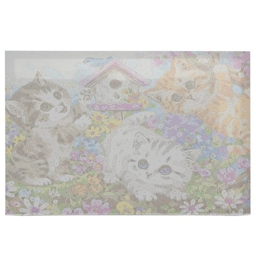 Måla Efter Nummer Kit - 40x50cm - Katter