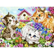Måla Efter Nummer Kit - 40x50cm - Katter