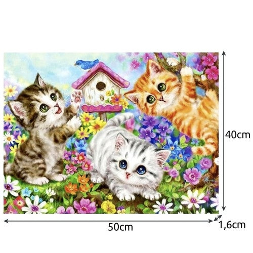 Måla Efter Nummer Kit - 40x50cm - Katter