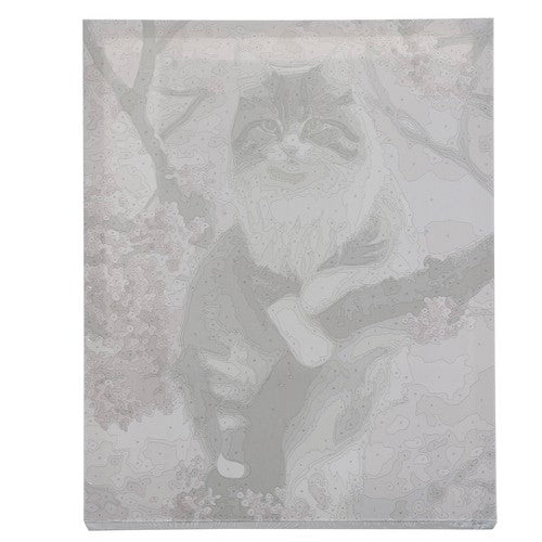Måla Efter Nummer Kit - 40x50cm - Kattunge