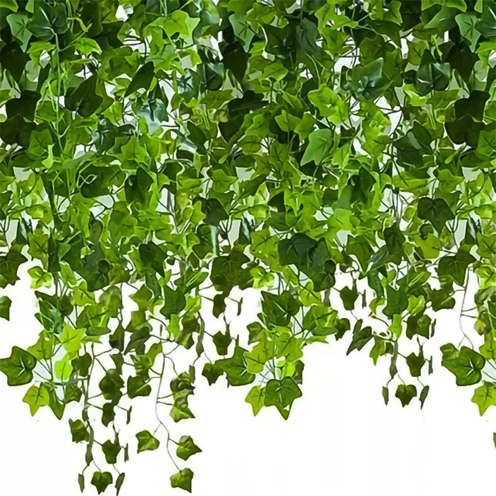 MurgronaLovgirlang-25x2m11.png